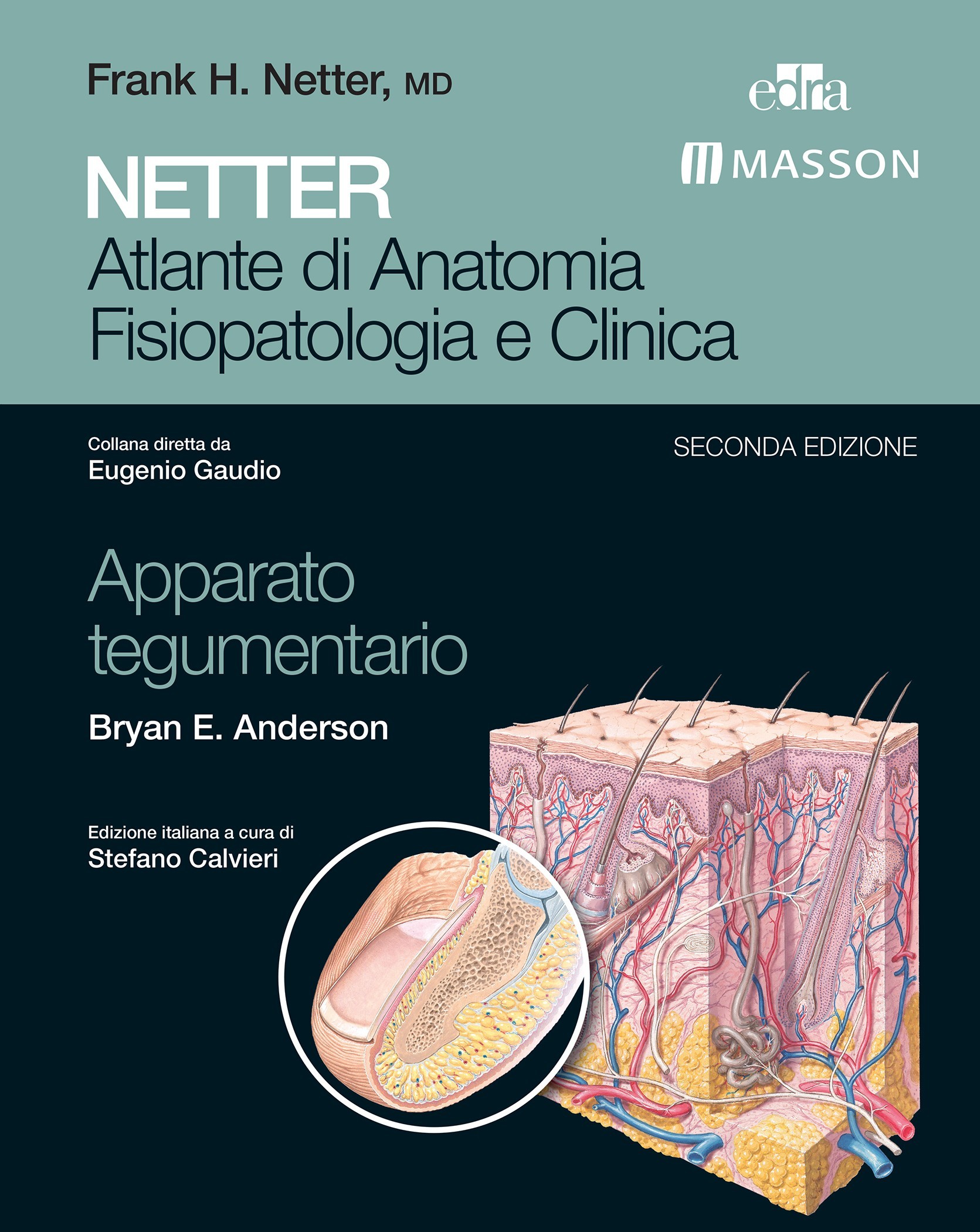 Netter - Atlante di Anatomia Fisiopatologia e Clinica: Apparato tegumentario